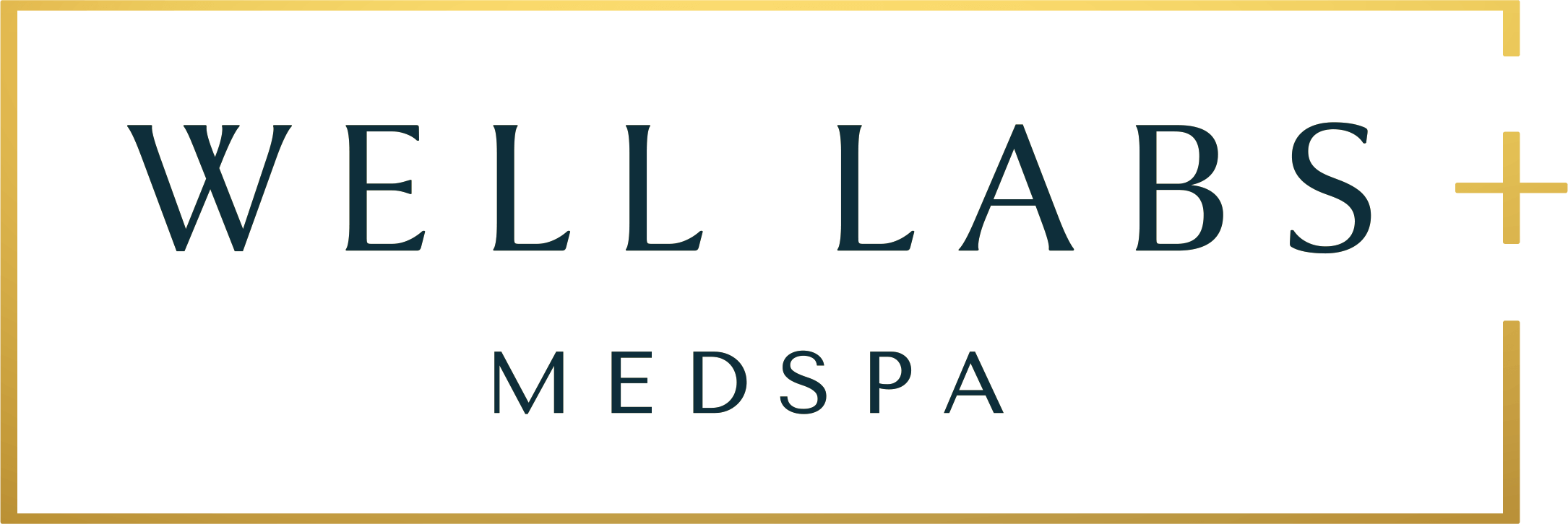 Well Labs+ Medspa Louisville Logo