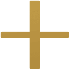 Gold plus icon