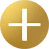 Circle Gold Plus Icon